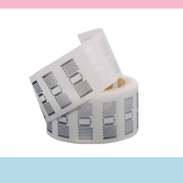 Windshield RFID tags